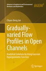 Buchcover Gradually-varied Flow Profiles in Open Channels