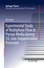 Buchcover Experimental Study of Multiphase Flow in Porous Media during CO2 Geo-Sequestration Processes