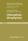 Buchcover Freshwater Flora of Central Europe, Vol 13: Chlorophyta: Ulvophyceae (Süßwasserflora von Mitteleuropa, Bd. 13: Chlorophy