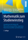Buchcover Mathematik zum Studieneinstieg
