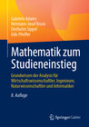 Buchcover Mathematik zum Studieneinstieg