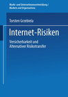 Buchcover Internet-Risiken