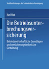 Buchcover Die Betriebs Unterbrechungs Versicherung