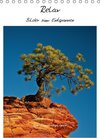 Buchcover Relax - Bilder zum Entspannen / CH-Version (Tischkalender 2015 DIN A5 hoch)