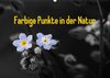 Buchcover Farbige Punkte in der Natur / CH-Version (Wandkalender 2015 DIN A2 quer)