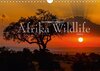 Buchcover Emotionale Momente: Afrika Wildlife Part 2 / CH-Version (Wandkalender 2015 DIN A4 quer)