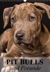 Buchcover Pit Bulls und Freunde (Wandkalender 2015 DIN A3 hoch)