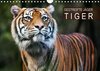 Buchcover Gestreifte Jäger – Tiger (Wandkalender 2016 DIN A4 quer)