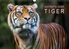 Buchcover Gestreifte Jäger – Tiger (Wandkalender 2016 DIN A3 quer)