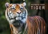 Buchcover Gestreifte Jäger – Tiger (Wandkalender 2016 DIN A2 quer)