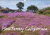 Buchcover Monterey California (Wandkalender 2016 DIN A3 quer)