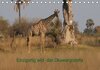 Buchcover Einzigartig Wild: Okawangodelta (Tischkalender 2016 DIN A5 quer)