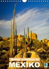 Buchcover Natur erleben in Mexiko (Wandkalender 2016 DIN A4 hoch)