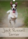 Buchcover Jack Russell Terrier (Wandkalender 2016 DIN A4 hoch)