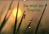 Buchcover Die Welt der Tropfen / CH-Version (Wandkalender 2016 DIN A2 quer)