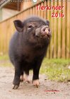 Buchcover Tierkinder (Wandkalender 2016 DIN A3 hoch)