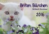 Buchcover Briten Bärchen  – Britsch Kurzhaar 2016 (Tischkalender 2016 DIN A5 quer)