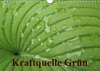 Buchcover Kraftquelle Grün (Wandkalender 2016 DIN A4 quer)