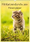 Buchcover Mit Katzen durchs Jahr / Planer (Wandkalender 2016 DIN A3 hoch)