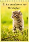 Buchcover Mit Katzen durchs Jahr / Planer (Tischkalender 2016 DIN A5 hoch)