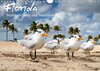 Buchcover Florida - Sonne, Strände und Naturparks (Wandkalender 2016 DIN A4 quer)