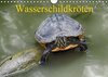 Buchcover Wasserschildkröten (Wandkalender 2016 DIN A4 quer)