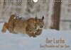 Buchcover Der Luchs - Dem Pinselohr auf der Spur (Wandkalender 2016 DIN A4 quer)
