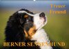 Buchcover Treuer Freund Berner Sennenhund (Wandkalender 2016 DIN A2 quer)
