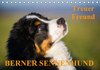 Buchcover Treuer Freund Berner Sennenhund (Tischkalender 2016 DIN A5 quer)