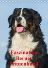 Buchcover Faszination Berner Sennenhund (Tischkalender 2016 DIN A5 hoch)