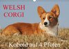 Buchcover Welsh Corgi - Kobold auf 4 Pfoten (Wandkalender 2016 DIN A3 quer)