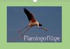 Buchcover FlamingoflügeCH-Version  (Wandkalender 2016 DIN A4 quer)