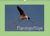 Buchcover FlamingoflügeCH-Version  (Wandkalender 2016 DIN A3 quer)