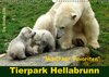 Buchcover Tierpark Hellabrunn - Münchner Favoriten (Wandkalender 2016 DIN A3 quer)