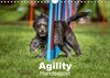 Buchcover Agility Hundesport (Wandkalender 2016 DIN A4 quer)