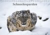 Buchcover Schneeleoparden (Tischkalender 2016 DIN A5 quer)