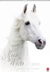 Buchcover Horses in White (Wandkalender 2016 DIN A2 hoch)