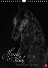 Buchcover Horses in Black (Wandkalender 2016 DIN A4 hoch)