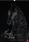 Buchcover Horses in Black (Wandkalender 2016 DIN A3 hoch)