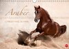 Buchcover Araber (Wandkalender 2016 DIN A4 quer)