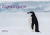 Buchcover Zügelpinguine (Tischkalender 2016 DIN A5 quer)