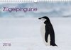 Buchcover Zügelpinguine (Wandkalender 2016 DIN A4 quer)