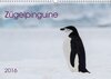 Buchcover Zügelpinguine (Wandkalender 2016 DIN A3 quer)