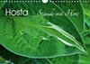 Buchcover Hosta Staude mit Herz (Wandkalender 2016 DIN A4 quer)