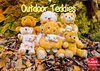 Buchcover Outdoor Teddies (Wandkalender 2016 DIN A2 quer)
