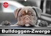 Buchcover Bulldoggen-Zwerge (Wandkalender 2016 DIN A3 quer)