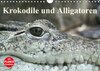 Buchcover Krokodile und Alligatoren (Wandkalender 2016 DIN A4 quer)