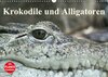 Buchcover Krokodile und Alligatoren (Wandkalender 2016 DIN A3 quer)