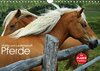 Buchcover Pferde - Hobby und Leidenschaft (Wandkalender 2016 DIN A4 quer)