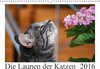 Buchcover Die Launen der Katzen 2016 (Wandkalender 2016 DIN A3 quer)